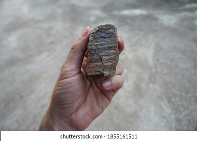  Gneiss Rock Specimen In A Hand.