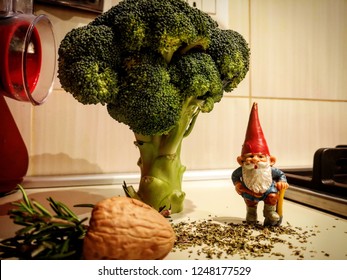 Gnome with broccoli tree