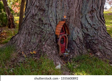 Gnome house in the trunk of old tree 