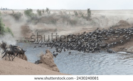 Gnu on the Mara River