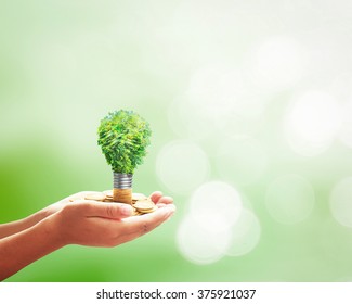 Go Green Concept: Human Hands Holding Light Bulb Of Growth Tree On Golden Coins Over Blurred Nature Background