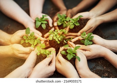 Go Green, Theres No Planet B. Cropped Shot Of A Group Of People Holding Plants Growing Out Of Soil.