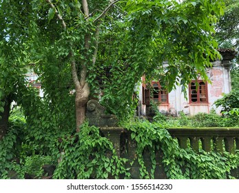 Goa, India - November 10, 2019: Nature Steadily Encroaches On A Dilapidated Portuguese-style House With Terracotta Tiles In North Goa District.