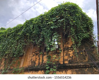 Goa, India - November 10, 2019: Nature Steadily Encroaches On A Dilapidated Portuguese-style House With Terracotta Tiles In North Goa District.