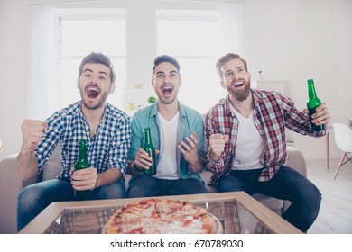 Goal! Cheerful Young Guys Are Watching Match On Couch At Home And Drink Beer, Eat Pizza On The Sofa At Home Indoors. They Are Fans Of Sports Games As Football, Basketball, Hockey, Baseball