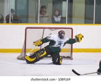 Goalie Glove Save