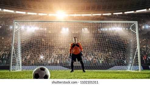Goalkeeper is waiting to catch a ball from a penalty kick on a professional soccer stadium. Stadium and crowd is made in 3D.