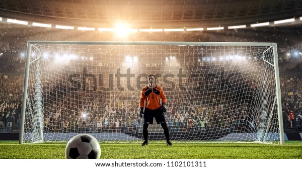 Goalkeeper is waiting to catch a ball from a penalty\
kick on a professional soccer stadium. Stadium and crowd is made in\
3D.