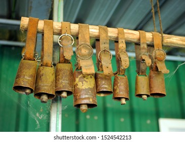 Goat Cowbells In The Stable Of A Farm Dedicated To Cheese Making, Andalusia, Spain