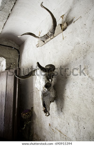 Goat Skulls Terrifying Decoration Halloween Detail Stock Photo