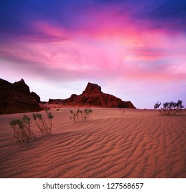 Gobi Desert