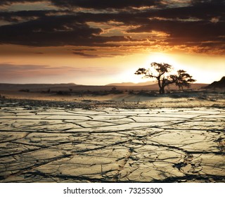 Gobi Desert