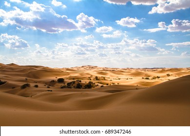 Gobi Desert, Inner Mongolia, China