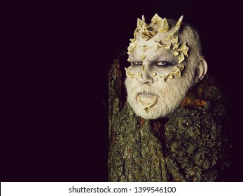 Goblin With Horns On Head. Druid Behind Old Bark Isolated On Black. Tree Spirit And Fantasy Concept. Man With Dragon Skin And Bearded Face. Monster With Sharp Thorns And Warts, Copy Space