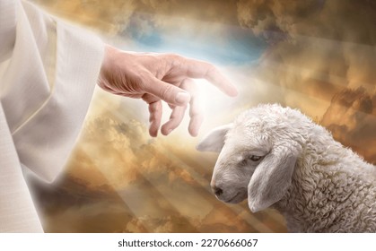 God reaching out to a lost sheep. Religious conceptual theme.
