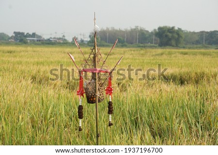 Goddess of Rice symbol installed in rice field. Thai farmer will respect and thank god for good support good life. Made with bamboo basket contains some dessert garland, ribbon. Belief, trust concept.