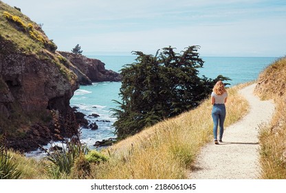 Godley Head Christchurch Canterbury New Zealand Stock Photo 2186061045 ...