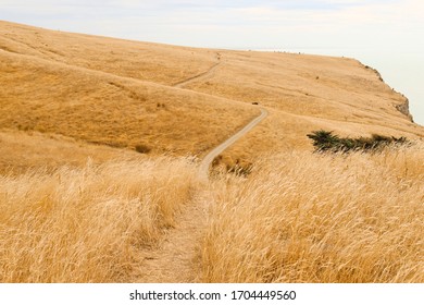 Godley Head Christchurch Walk Path