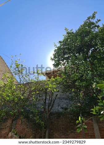 Similar – Image, Stock Photo cementerio Cloudless sky