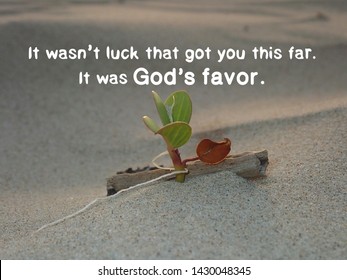 God's favor from bible verse with sandy beach and a blooming morning glory flower design for Christianity to encourage, daily inspiration and  motivation.        