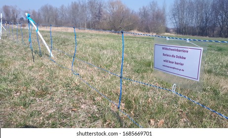 Goerlitz GERMANY - March 28 2020: Boar Protection Fence Against The African Swine Fever In Görlitz On The Border With Poland