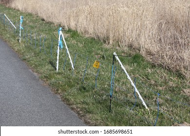 Goerlitz GERMANY - March 28 2020: Boar Protection Fence Against The African Swine Fever In Görlitz On The Border With Poland