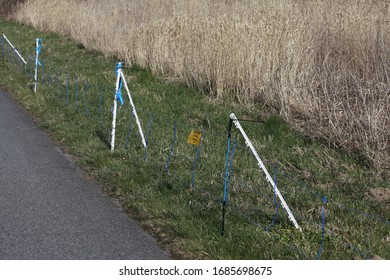 Goerlitz GERMANY - March 28 2020: Boar Protection Fence Against The African Swine Fever In Görlitz On The Border With Poland