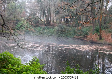 Goffs Park Crawley West Sussex