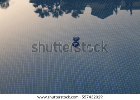 Goggles floating at sunset