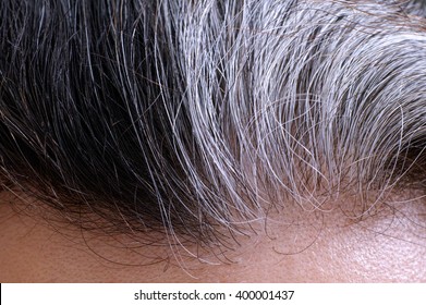 Going Gray. Woman Gray And Black Hair Roots. Close-up.