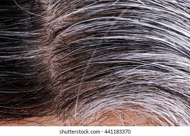 Going Gray. Woman Gray And Black Hair Roots. Closeup.