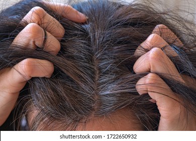 Going Gray. Woman With Dark Hairs Shows Her Gray Hair Roots