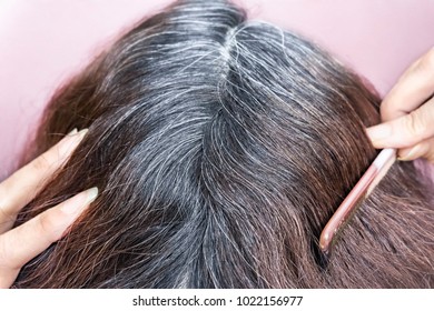 Going Gray. Woman Shows Her Gray Hair Roots. Close Up