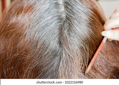 Going Gray. Woman Shows Her Gray Hair Roots. Close Up