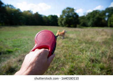 Going Out For A Walk With A Dog, Dog On A Leash, First Person Perspective