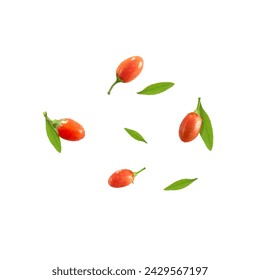 Goji berry with leaves isolated on white background. Single fresh goji berries with water drops condensation cut-out closeup.