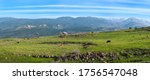 Golan Heights landscape: panoramic view from the Nimrod Fortress to snow-capped Mount Hermon on a Syrian border, with cows grazing in a green pasture, overlooking Neve Ativ village; Northern Israel