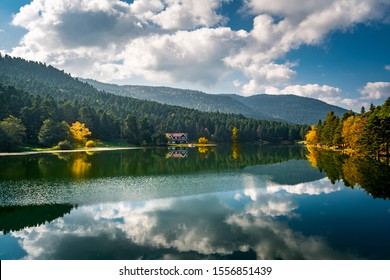 stock photo and image portfolio by koray bektas shutterstock