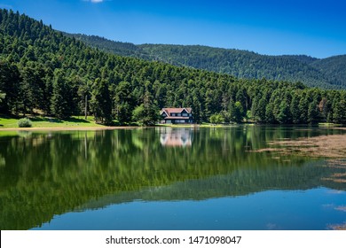 stock photo and image portfolio by koray bektas shutterstock