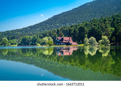 stock photo and image portfolio by koray bektas shutterstock