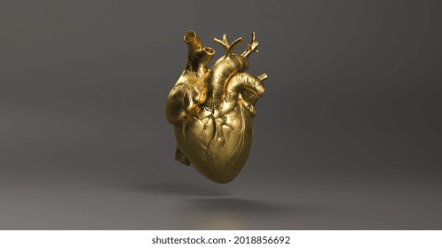 Gold Anatomical human Heart. Anatomy and medicine concept image. - Shutterstock ID 2018856692