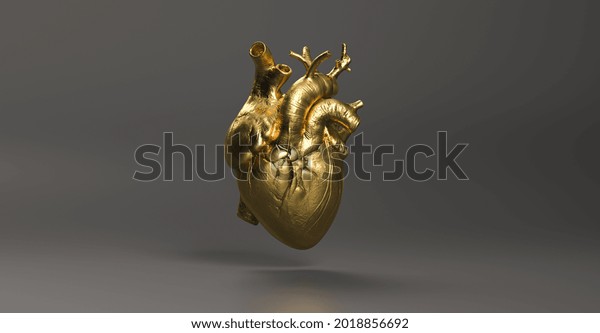 Gold Anatomical human Heart. Anatomy and medicine\
concept image.