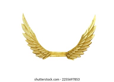 Angel wings, Natural black wing plumage isolated on white