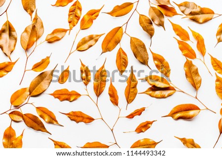 Yellow autumn leaves pattern on white