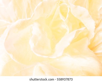 Gold Background
