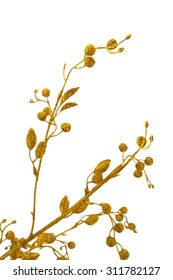 Gold Branch On A White Background, The Background Image