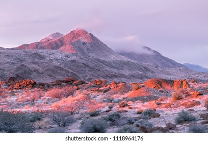 Gold Butte National Moniment