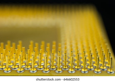 Gold chip processor contacts Black background