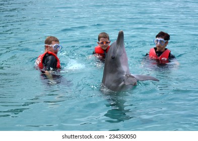 GOLD COAST, AUS -  NOV 06 2014:Family Interact With Dolphin In Sea World Gold Coast Australia.It's Sea Animals Theme Park That Promote Conservation Education Of Sea And Marine Wildlife.