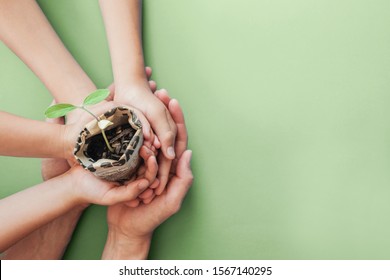 Gold Coast Australia-November 10 2019: Hands Holding Seedling Plants In Newspaper Pot, Montessori Education , CSR Social Responsibility, Eco Green Sustainable Living, Reuse, Zero Waste, Earth Day